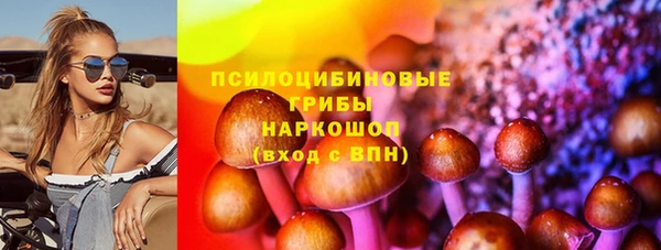 спиды Бикин